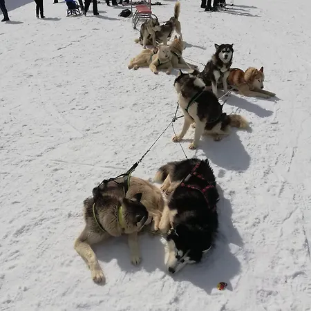 за гости 4а26 планинска магия Grand Monastery Апартамент