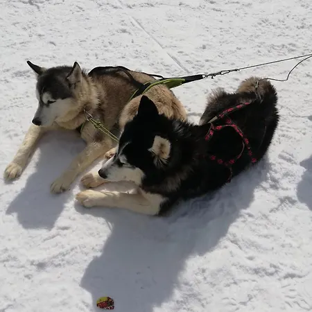 Апартамент за гости 4а26 планинска магия Grand Monastery Пампорово
