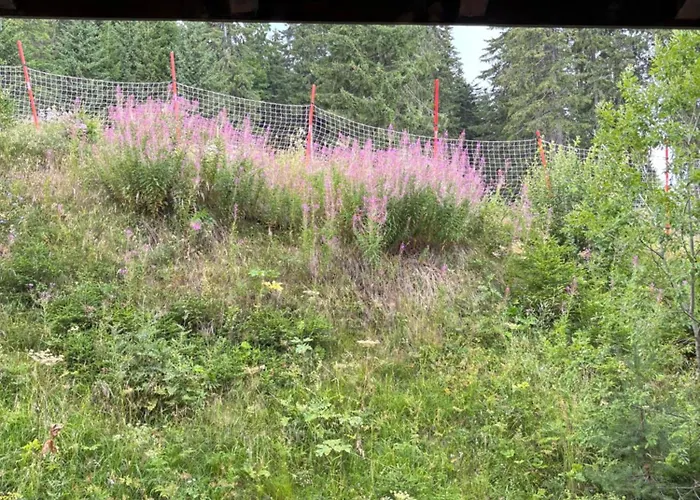 Διαμέρισμα за гости 4а26 планинска магия Grand Monastery *
