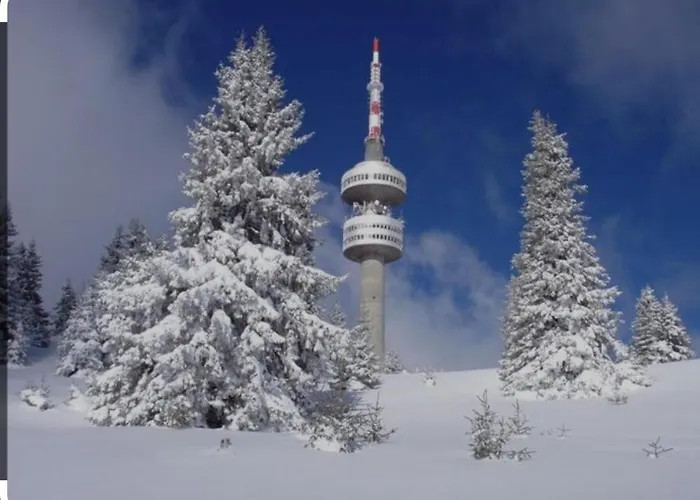 за гости 4а26 планинска магия Grand Monastery Διαμέρισμα Παμπόροβο