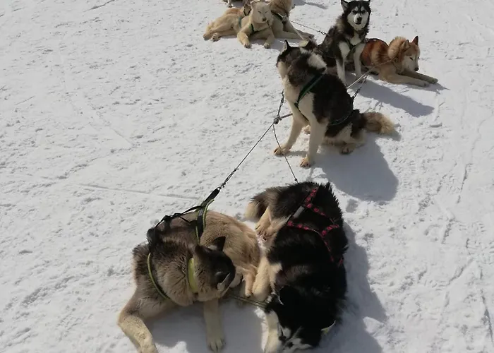 за гости 4а26 планинска магия Grand Monastery Διαμέρισμα