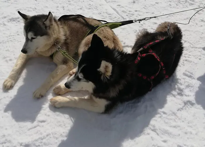 Διαμέρισμα за гости 4а26 планинска магия Grand Monastery Παμπόροβο