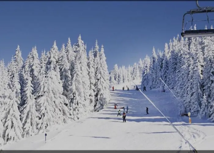 Διαμέρισμα за гости 4а26 планинска магия Grand Monastery